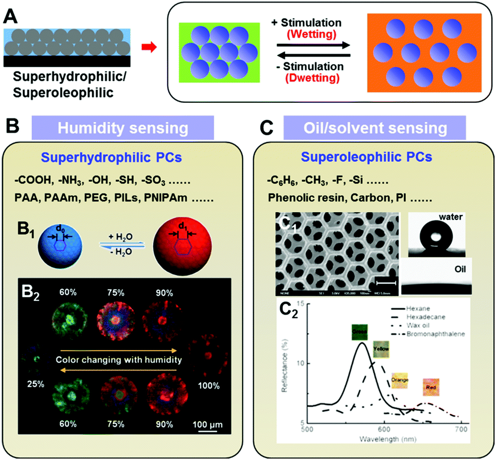 Bio-inspired photonic crystals with superwettability