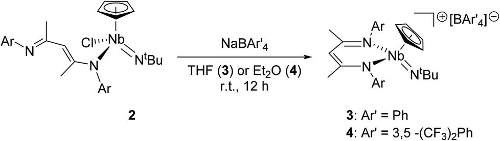 nb 41 v6