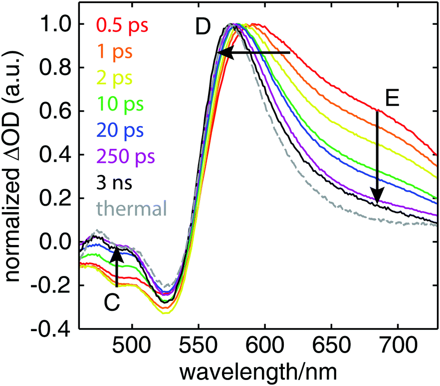 Electronic and nuclear contributions to time-resolved Electronic and nuclear contributions to time-resolved