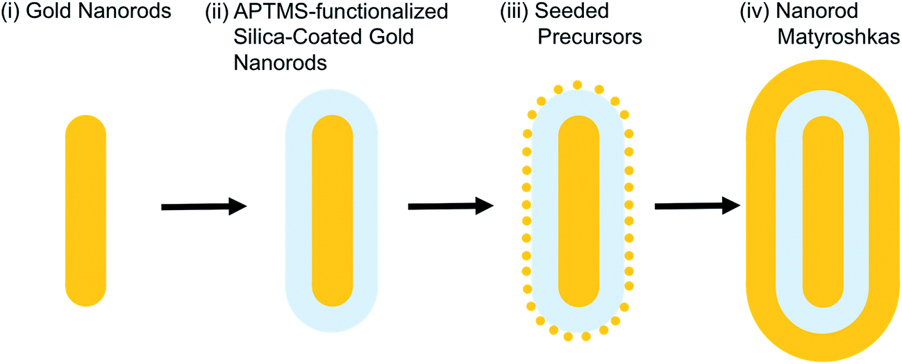 Seed mediated growth of gold nanorods: towards nanorod matryoshkas -  Faraday Discussions (RSC Publishing) DOI:10.1039/C6FD00145A