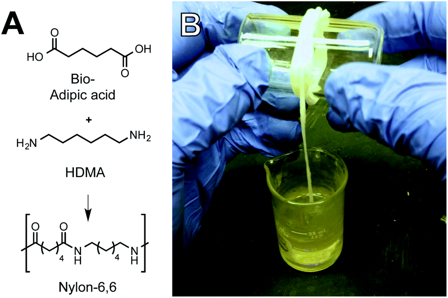 cis , cis -Muconic acid: separation and catalysis to bio-adipic acid for  nylon-6,6 polymerization - Green Chemistry (RSC Publishing)  DOI:10.1039/C5GC02844B