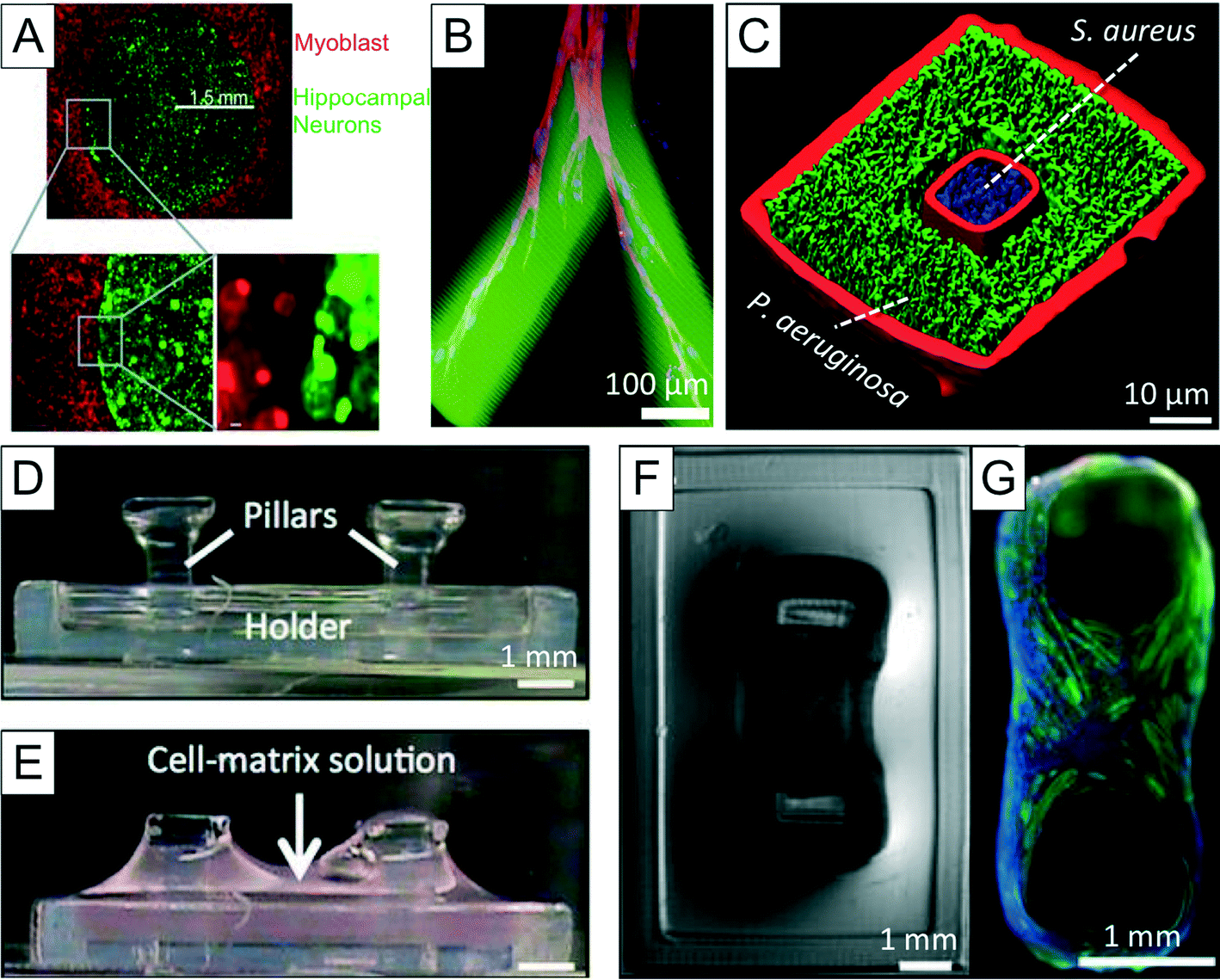 The upcoming 3D-printing revolution in microfluidics - Lab on a Chip (RSC  Publishing) DOI:10.1039/C6LC00163G