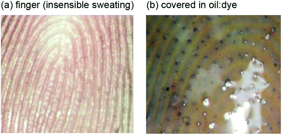 A new oil/membrane approach for integrated sweat sampling and
