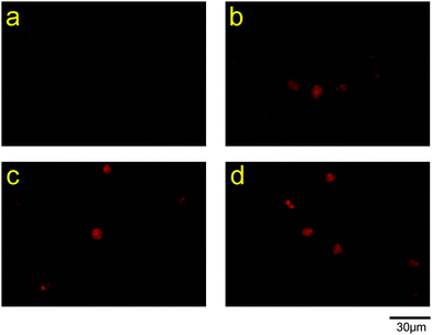 image file: c5mb00631g-f6.tif