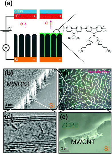 Conjugated polyelectrolyte nano field emission adlayers