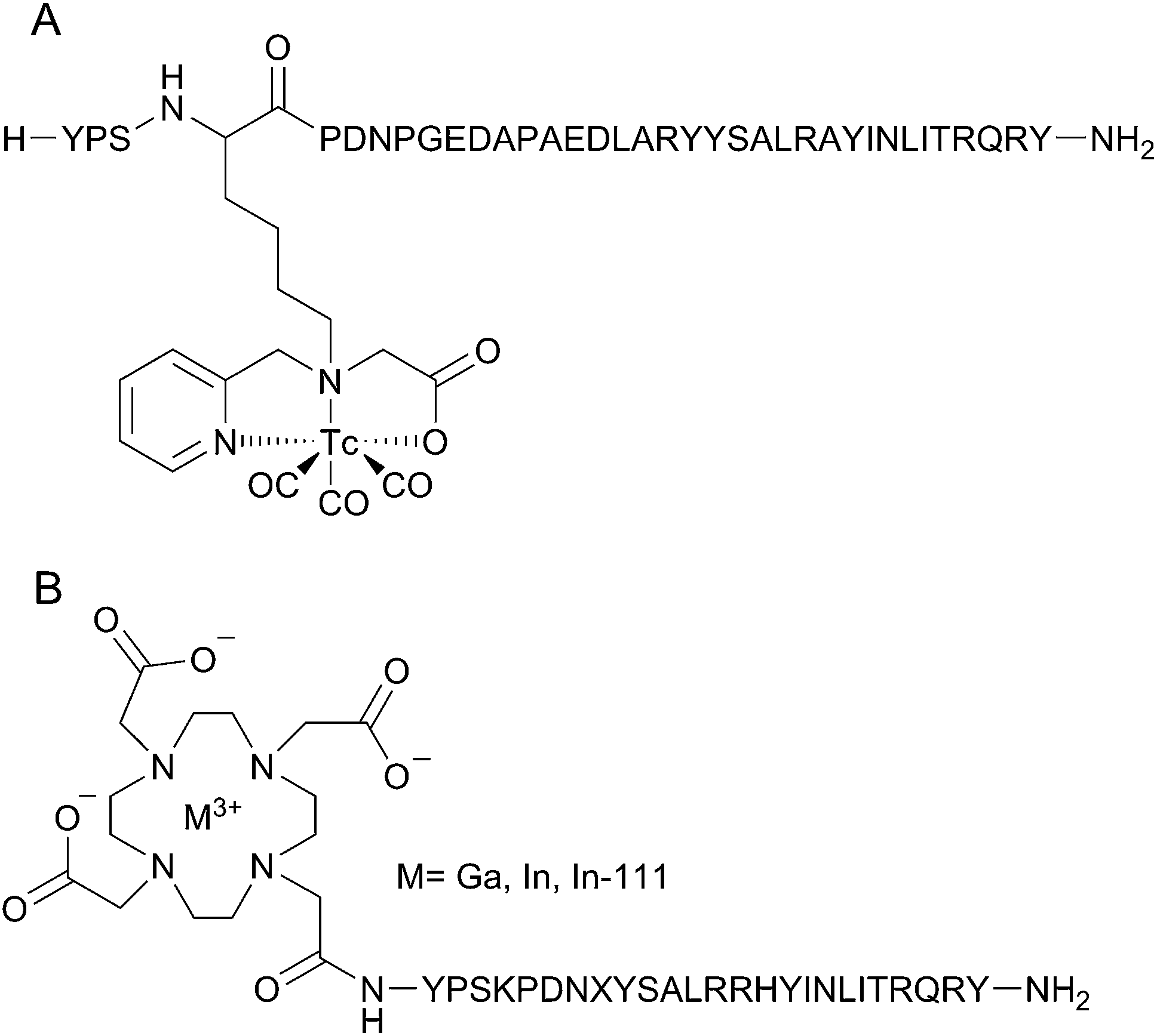 Molecular imaging probes derived from natural peptides