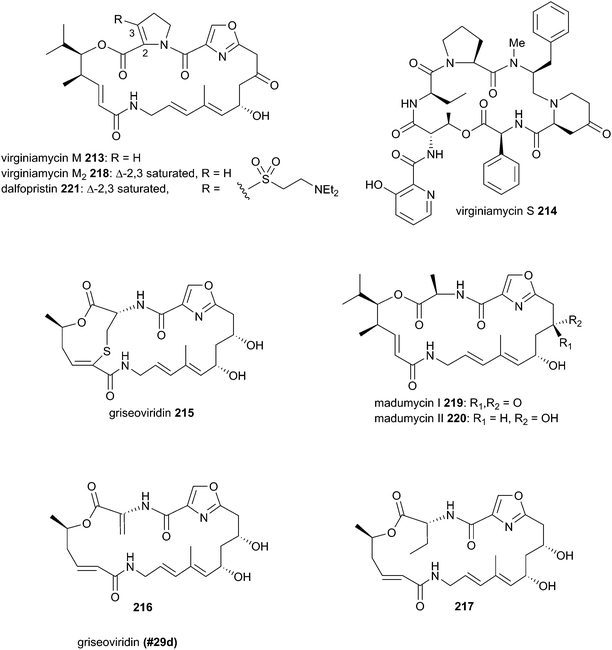 Biosynthesis Of Polyketides By Trans At Polyketide Synthases