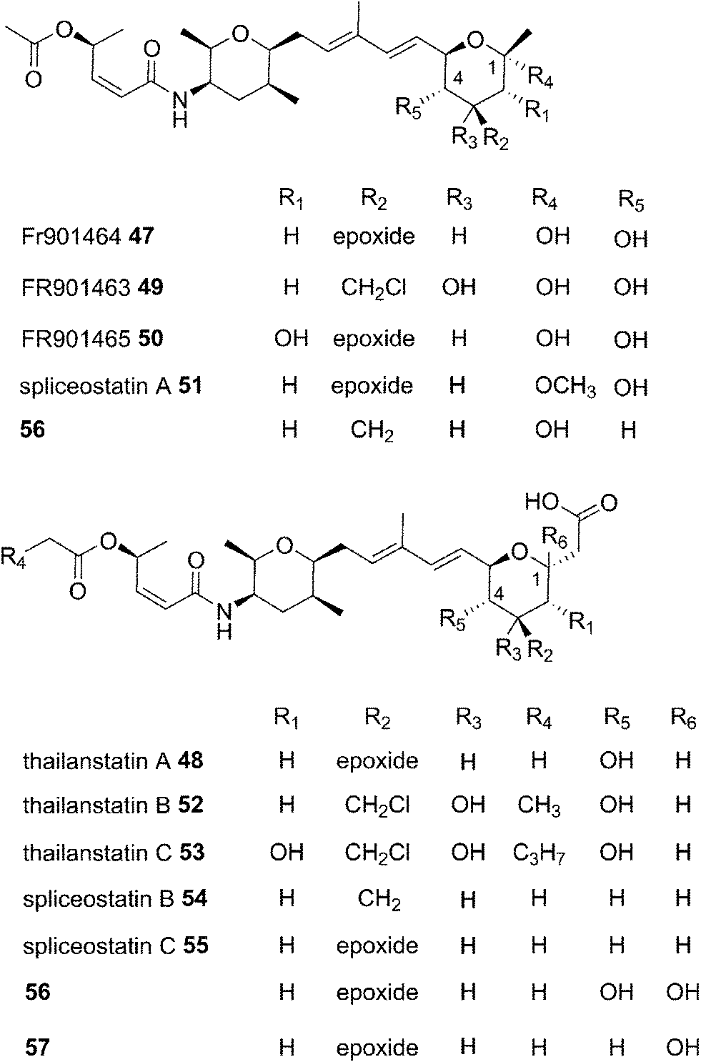 Biosynthesis of polyketides by trans -AT polyketide synthases 
