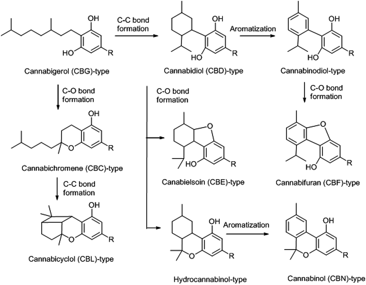 Phytocannabinoids: a unified critical inventory - Natural Product