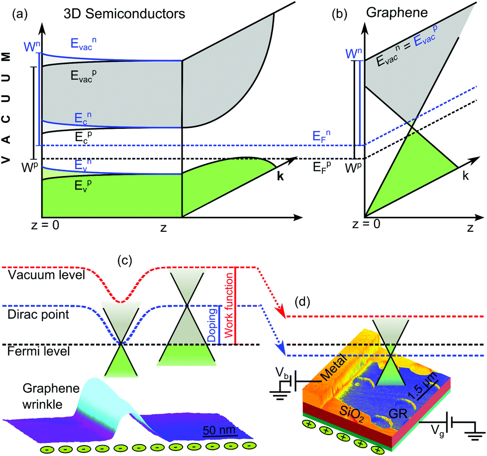 Equal variations of the Fermi level and work function in graphene 