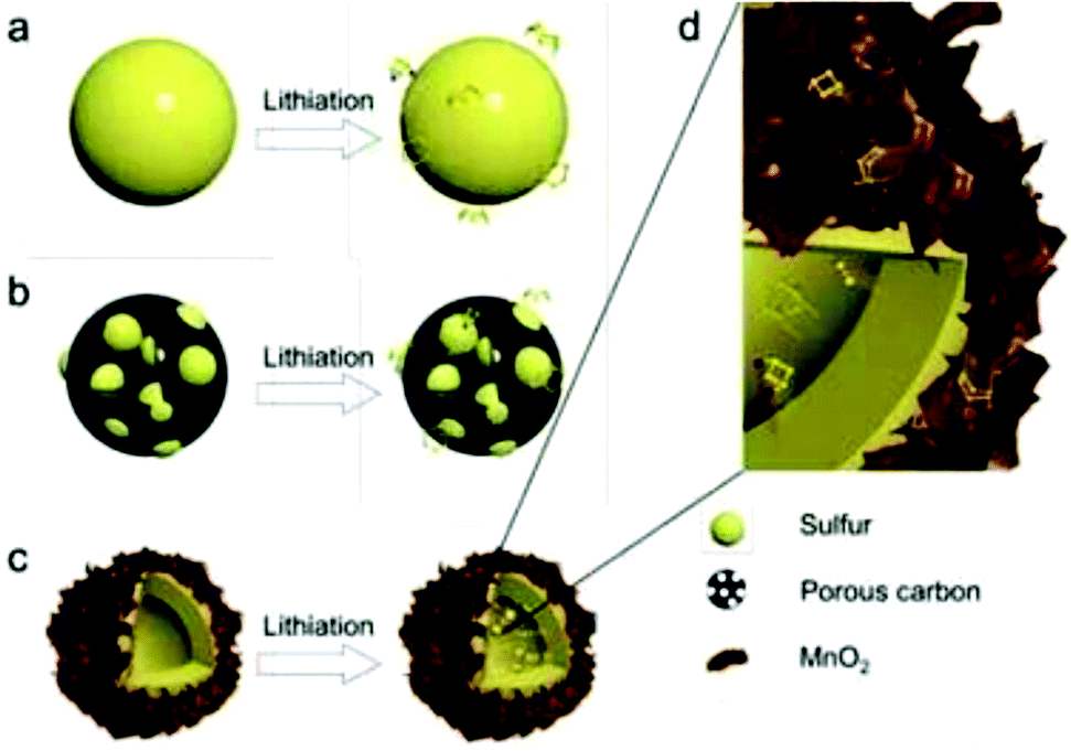 A review of recent developments in rechargeable lithium–sulfur 