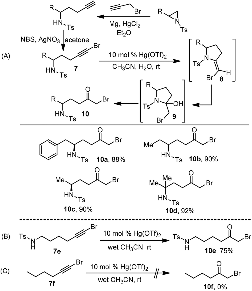 Hg Pt Catalyzed Conversion Of Bromo Alkynamines Alkynols To Saturated And Unsaturated G Butyrolactams Lactones Via Intramolecular Electrophilic Cycliz Organic Biomolecular Chemistry Rsc Publishing Doi 10 1039 C5oba