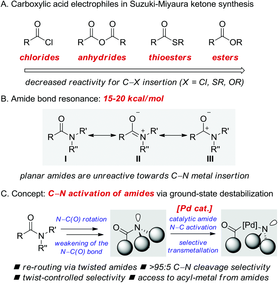 Palladium Catalyzed Suzuki Miyaura Coupling Of Amides By Carbon Nitrogen Cleavage General Strategy For Amide N C Bond Activation Organic Biomolecular Chemistry Rsc Publishing Doi 10 1039 C6obc