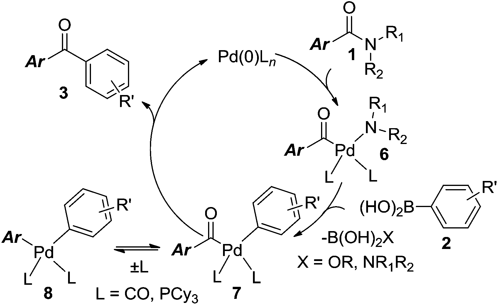 Palladium-catalyzed Suzuki–Miyaura coupling of amides by carbon–nitrogen  cleavage: general strategy for amide N–C bond activation - Organic &  Biomolecular Chemistry (RSC Publishing) DOI:10.1039/C6OB00084C