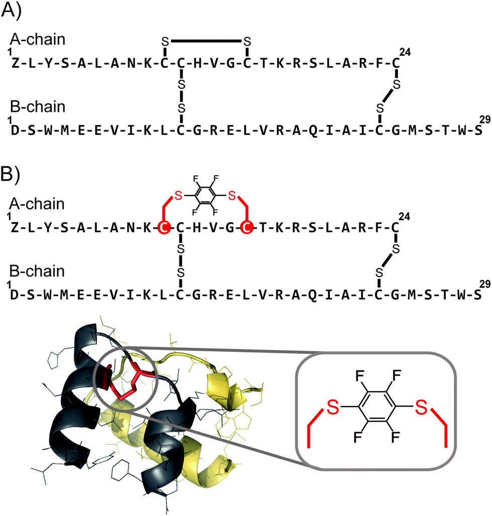 A Perfluoroaromatic Abiotic Analog Of H2 Relaxin Enabled By Rapid Flow Based Peptide Synthesis Organic Biomolecular Chemistry Rsc Publishing Doi 10 1039 C6ob008k