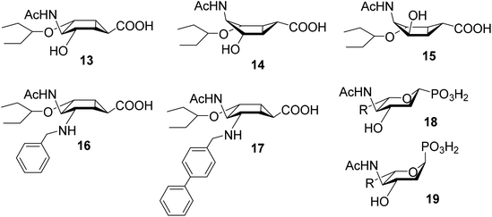 Synthesis and evaluation of influenza A viral neuraminidase candidate ...