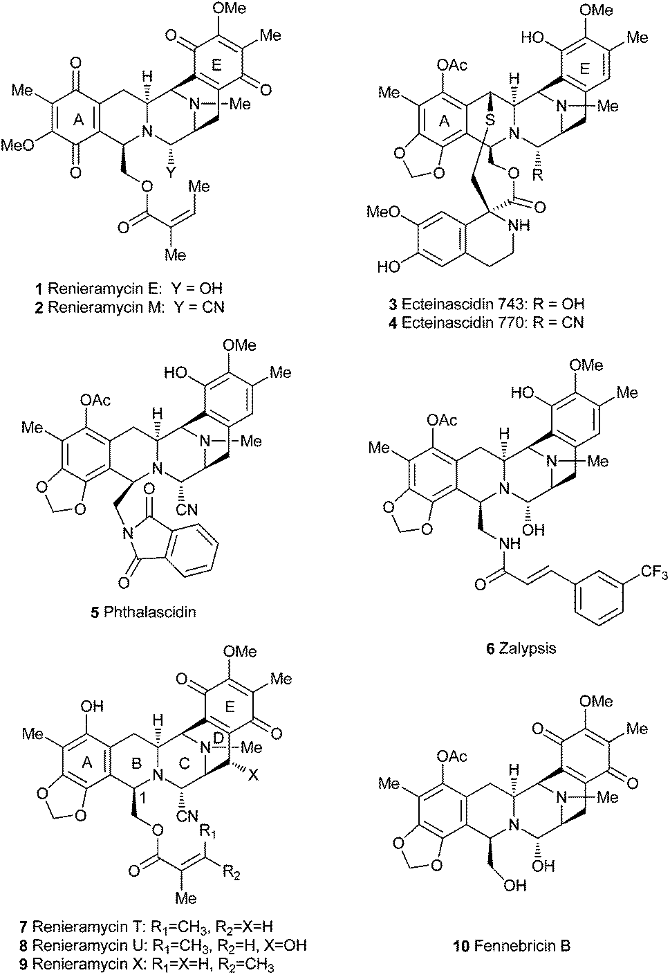 Synthesis of the Tetrahydroisoquinoline Alkaloid (±)-Renieramycin