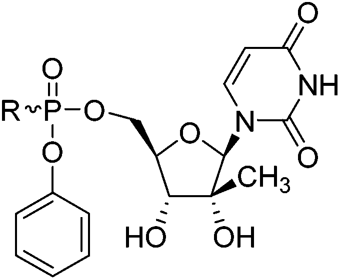 Bifunctional Aryloxyphosphoramidate Prodrugs Of 2 C Me Uridine Synthesis And Anti Hcv Activity Organic Biomolecular Chemistry Rsc Publishing Doi 10 1039 C6ob011f