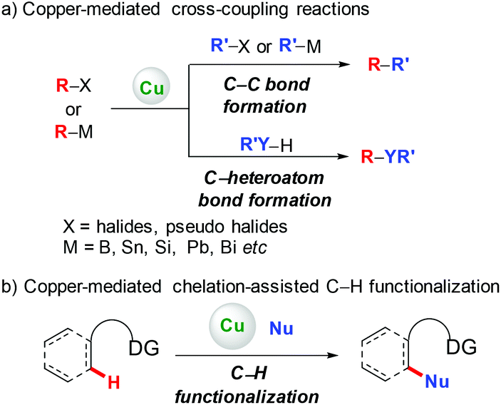 Recent Advances In Copper Mediated Chelation Assisted Functionalization Of Unactivated C H Bonds Organic Chemistry Frontiers Rsc Publishing Doi 10 1039 C6qod