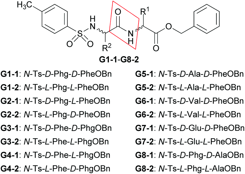 Discrimination of enantiomers of dipeptide derivatives with two