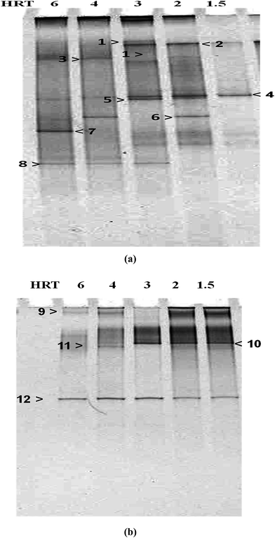 image file: c5ra18815f-f4.tif