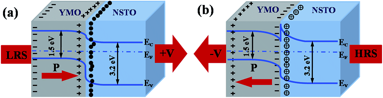 Comparison of Ferroelectric Photovoltaic Performance in BFO