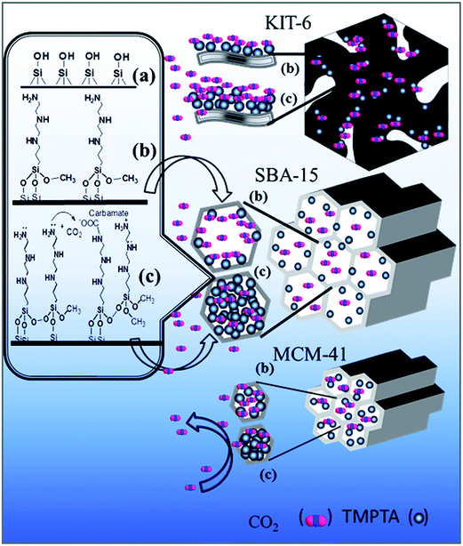 image file: c5ra20489e-s1.tif