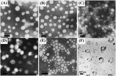 image file: c5ra21779b-f4.tif