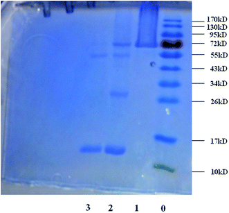 image file: c5ra22013k-f11.tif