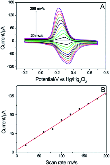 image file: c5ra22116a-f8.tif