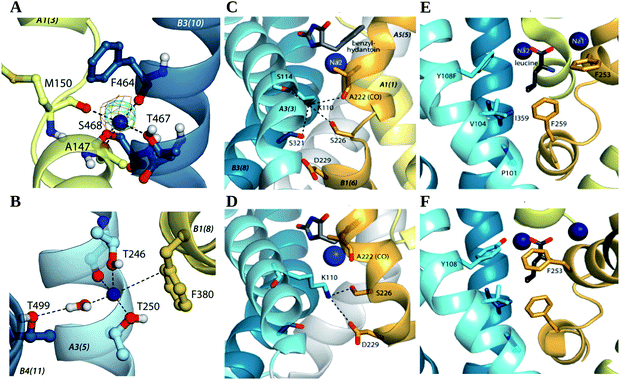 image file: c5ra22131e-f4.tif