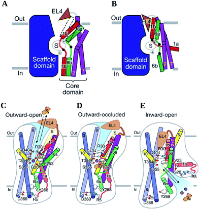 image file: c5ra22131e-f9.tif