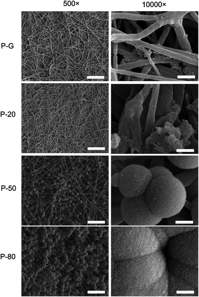 image file: c5ra22548e-f4.tif