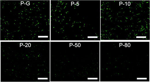 image file: c5ra22548e-f5.tif