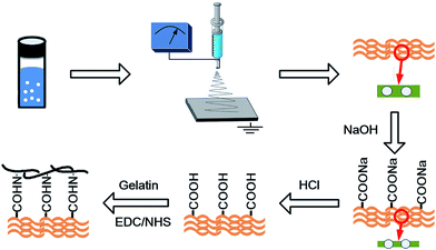 image file: c5ra22548e-s1.tif