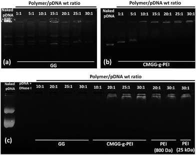 image file: c5ra23447f-f4.tif