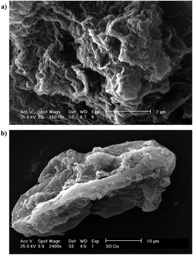 image file: c5ra25317a-f3.tif