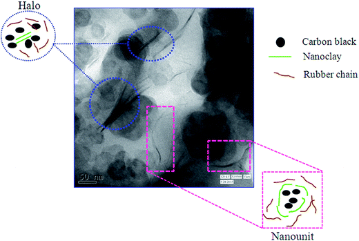 image file: c5ra25970c-s1.tif