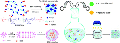 image file: c5ra26770f-s1.tif