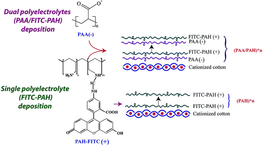 image file: c5ra27019g-s2.tif
