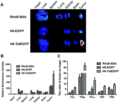 image file: c5ra27411g-f3.tif