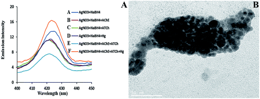 image file: c6ra00193a-f4.tif