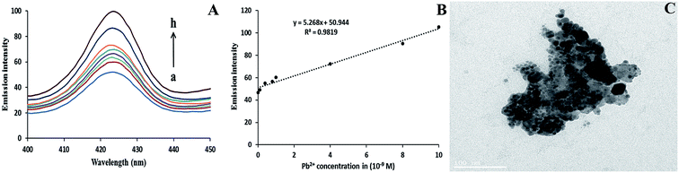image file: c6ra00193a-f7.tif