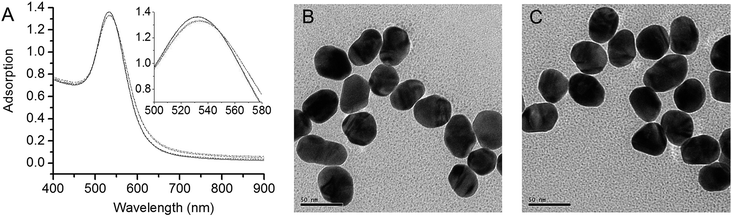 image file: c6ra00451b-f1.tif