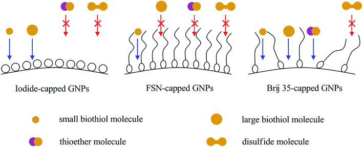image file: c6ra00451b-s2.tif
