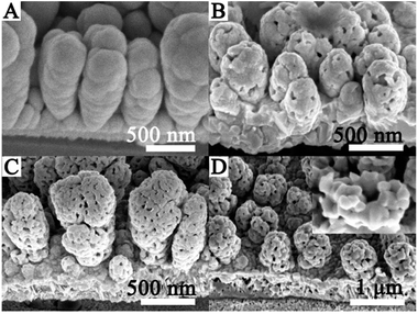 image file: c6ra00691d-f2.tif