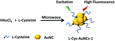 image file: c6ra00912c-s2.tif