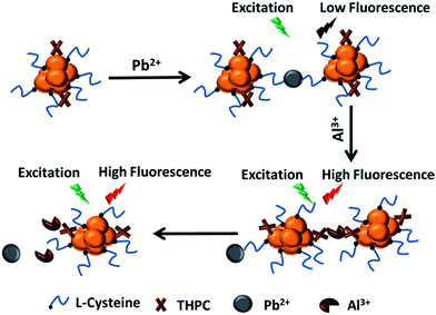 image file: c6ra00912c-s3.tif