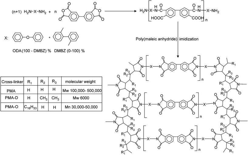 Poly(maleic anhydride) cross-linked polyimide aerogels: synthesis and ...