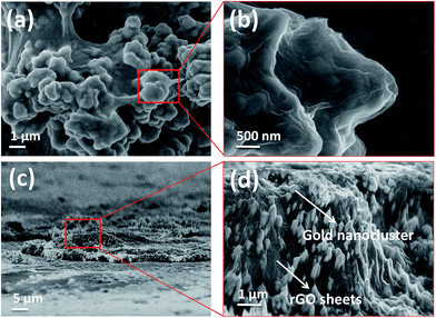 image file: c6ra01016d-f2.tif